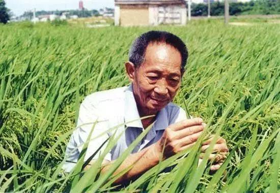 一日三餐，米香彌漫，飽食者當(dāng)憶袁公！