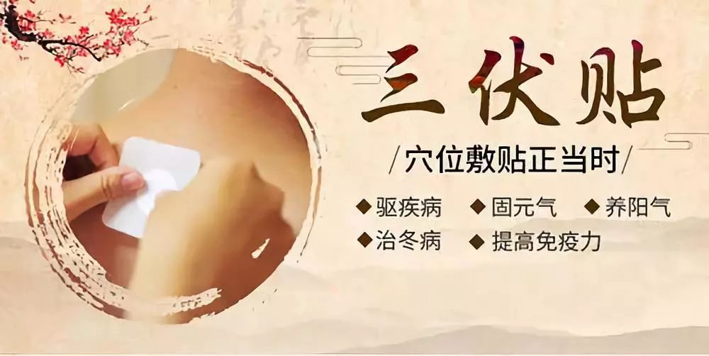 關(guān)于三伏貼，你了解多少呢？